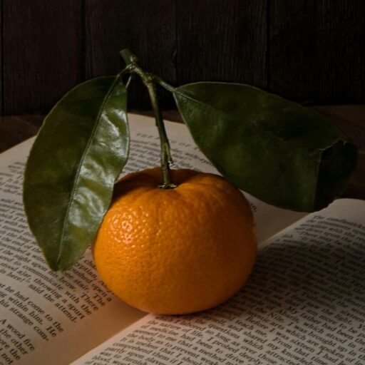 A fresh orange with leaves placed on an open book against a dark wood backdrop.
